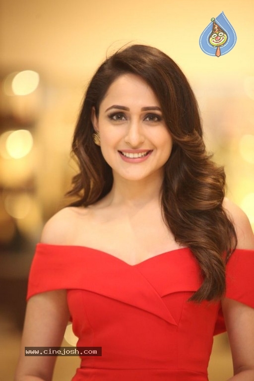 Pragya Jaiswal New Stills - 23 / 41 photos