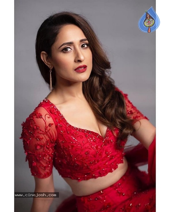 Pragya Jaiswal Stills - 4 / 4 photos