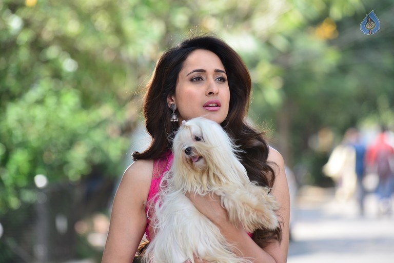 Pragya Jaiswal Stills in Gunturodu Movie - 19 / 21 photos