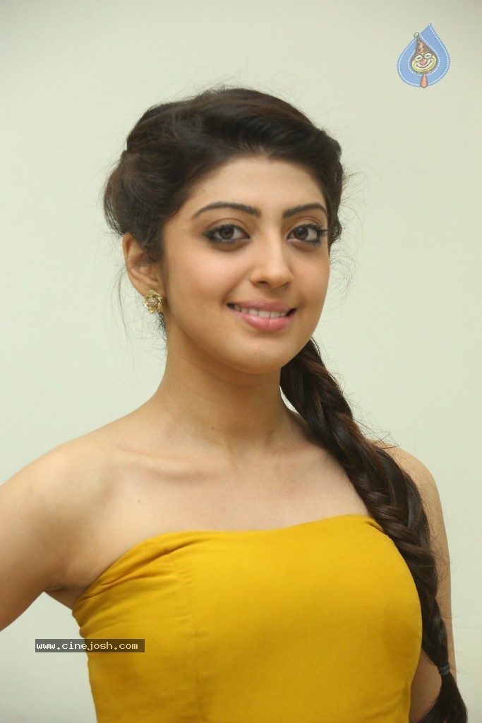 Praneetha New Photos - 64 / 65 photos