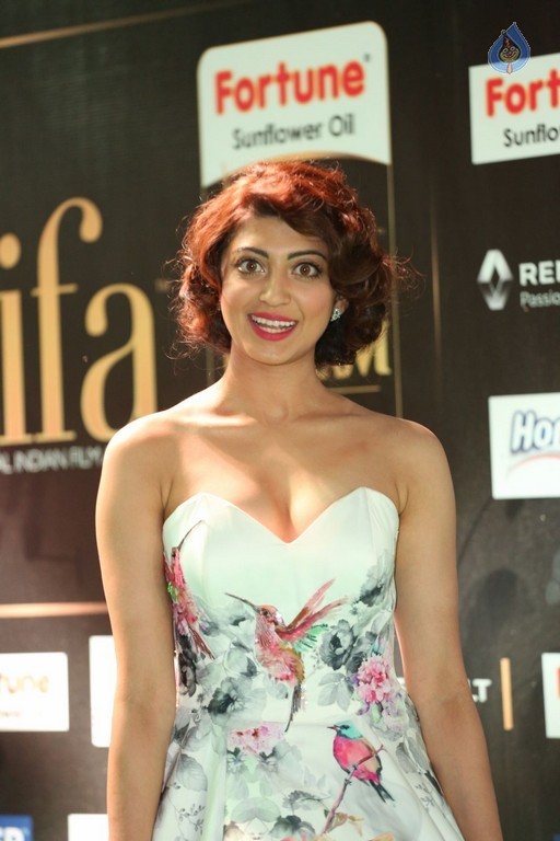 Pranitha at IIFA 2017 - 26 / 37 photos