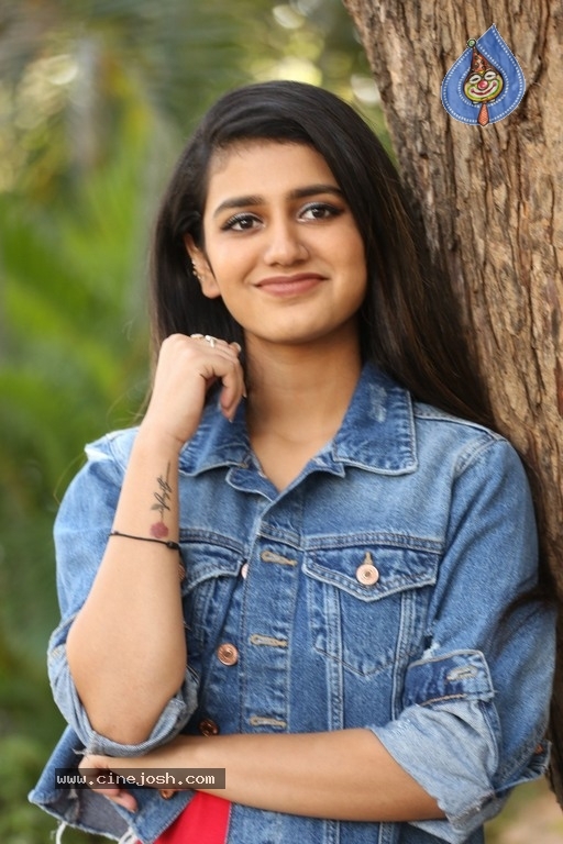 Priya Varrier Interview Photos - 15 / 20 photos