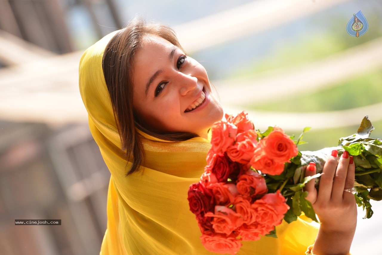 Priyal Gor New Stills - 6 / 31 photos