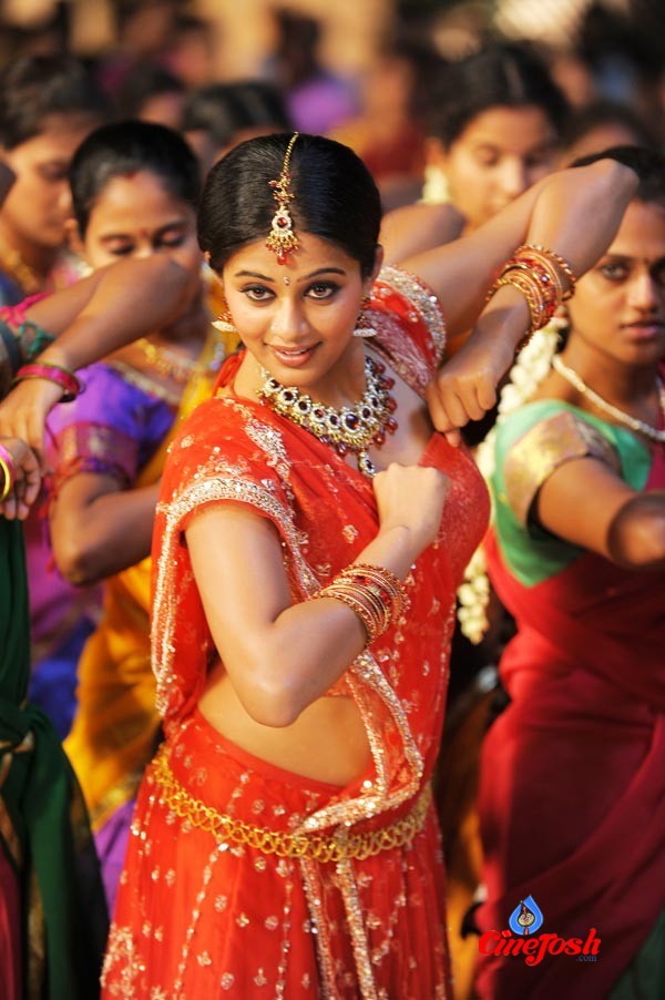 Priyamani Spicy Photo Gallery - 1 / 20 photos