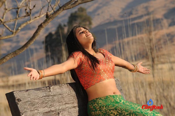 Priyamani Spicy Photo Gallery - 11 / 20 photos