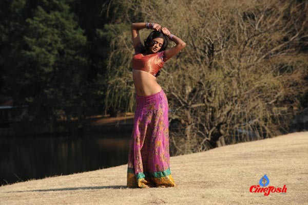 Priyamani Spicy Photo Gallery - 12 / 20 photos