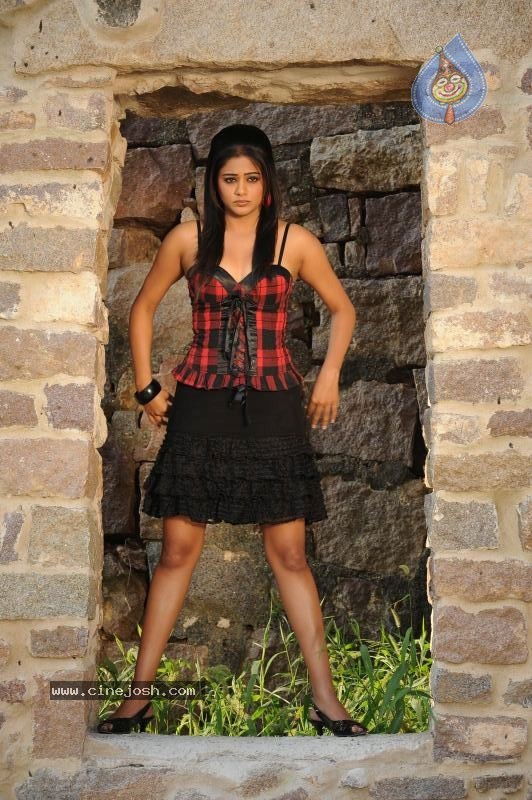Priyamani Hot Stills In Pravarakyudu Movie  - 4 / 148 photos
