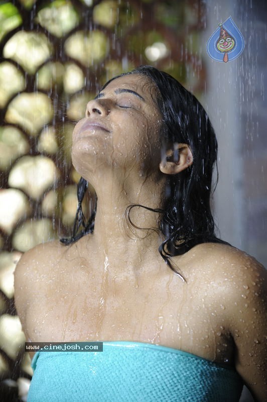 Priyamani Hot Stills In Pravarakyudu Movie  - 26 / 148 photos