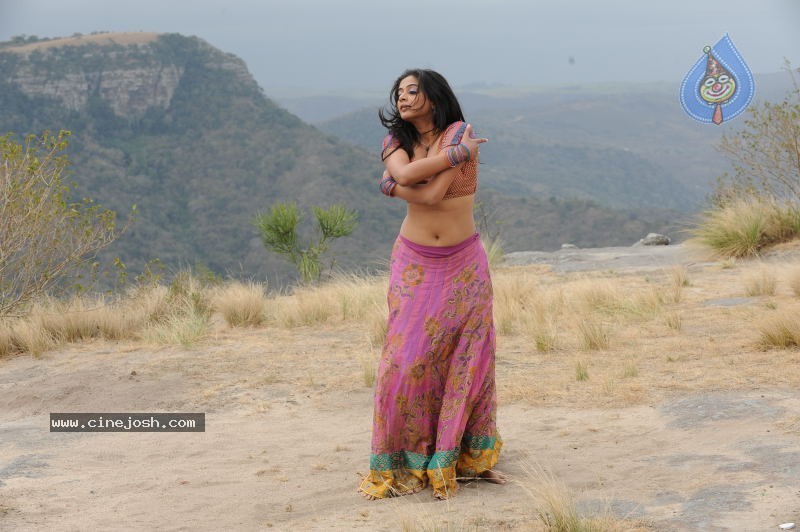 Priyamani Hot Stills In Pravarakyudu Movie  - 32 / 148 photos