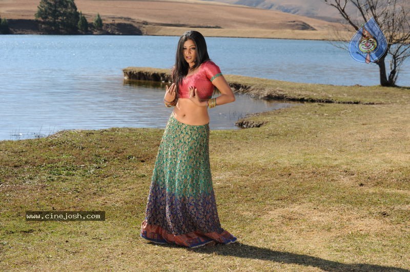 Priyamani Hot Stills In Pravarakyudu Movie  - 35 / 148 photos