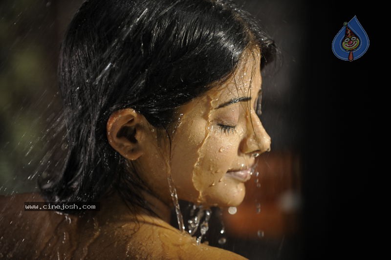 Priyamani Hot Stills In Pravarakyudu Movie  - 47 / 148 photos
