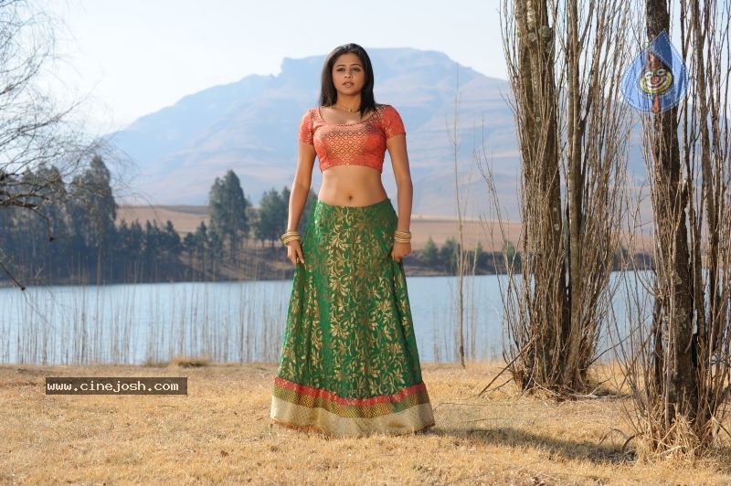 Priyamani Hot Stills In Pravarakyudu Movie  - 60 / 148 photos