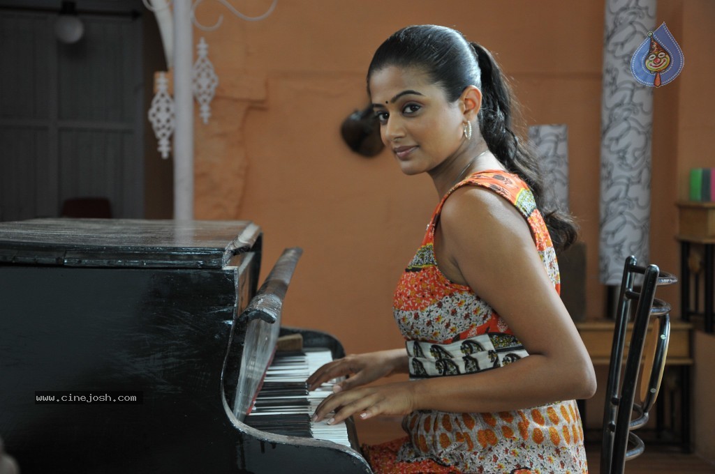 Priyamani New Stills - 36 / 44 photos