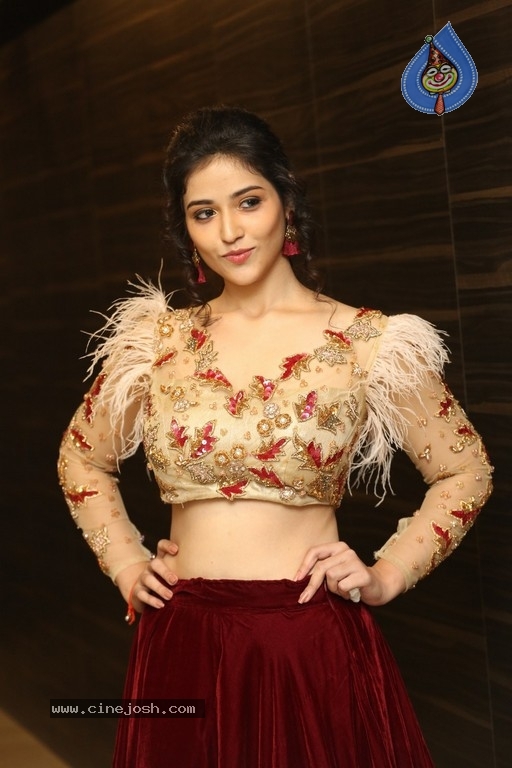 Priyanka Jawalkar at Taxiwala Pre Release - 3 / 17 photos