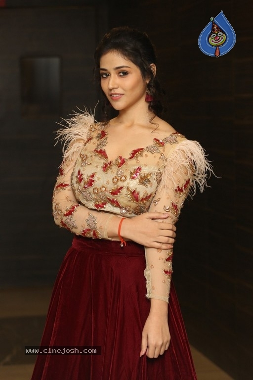 Priyanka Jawalkar at Taxiwala Pre Release - 6 / 17 photos