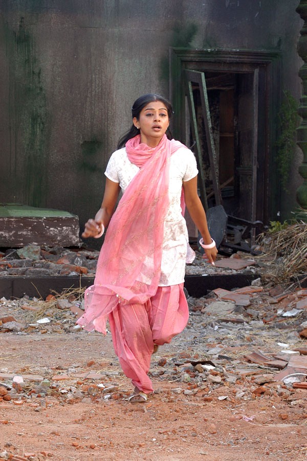 Priyamani - 14 / 50 photos