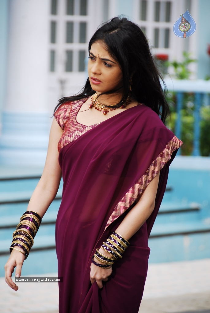 Rachana Malhotra New Photos - 19 / 35 photos