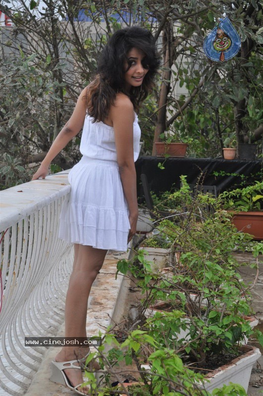 Rachana Shah Photo Shoot Stills - 25 / 49 photos