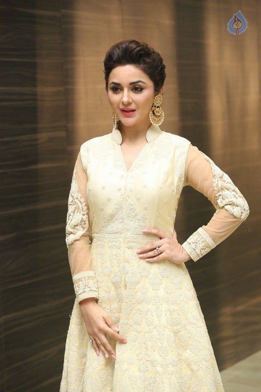 Ragini Nandwani Photos - 23 / 35 photos