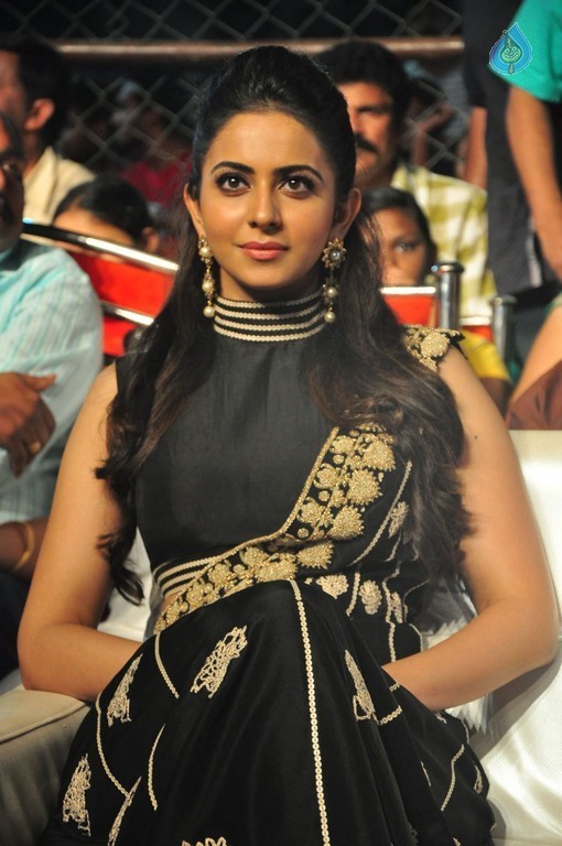 Rakul at Sarrainodu Blockbuster Function - 25 / 36 photos