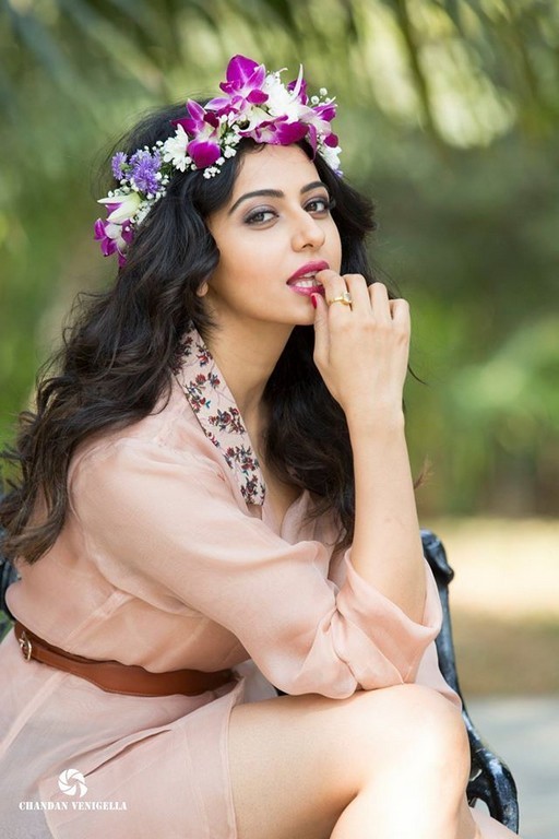 Rakul New Photos - 4 / 4 photos