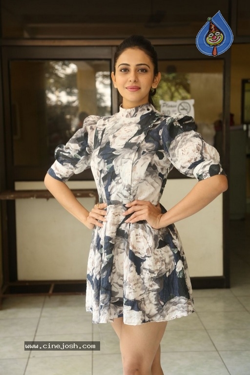 Rakul Preet Singh Interview - 14 / 17 photos