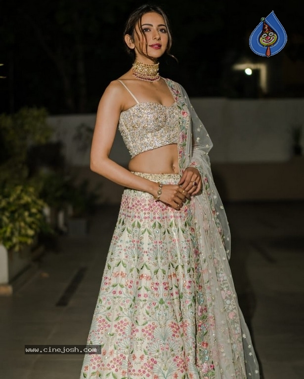 Rakul Preet Singh Photos - 4 / 5 photos