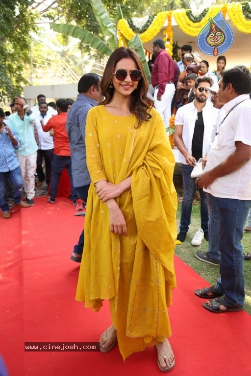 Rakul Preet Singh Photos - 16 / 19 photos