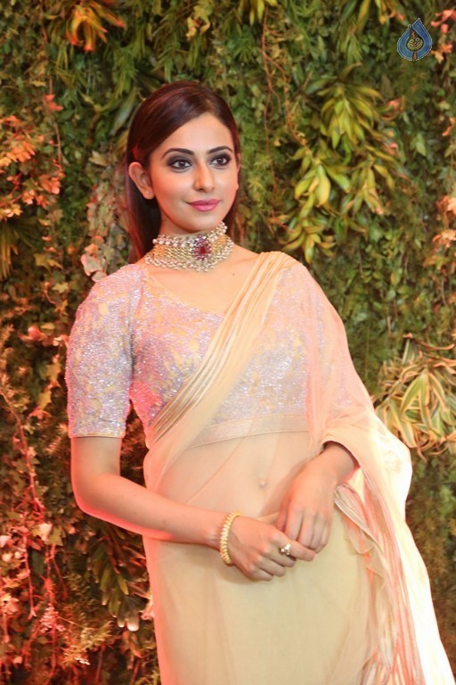 Rakul Preet Singh Photos - 4 / 25 photos
