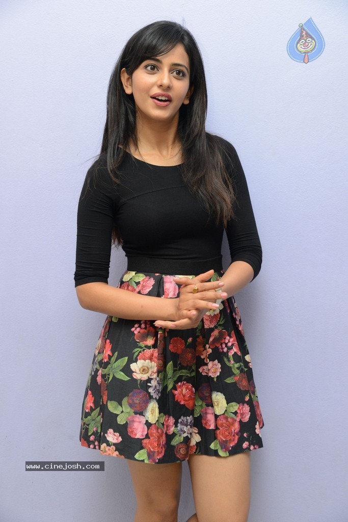 Rakul Preeth Singh at Rough Teaser Launch - 34 / 87 photos