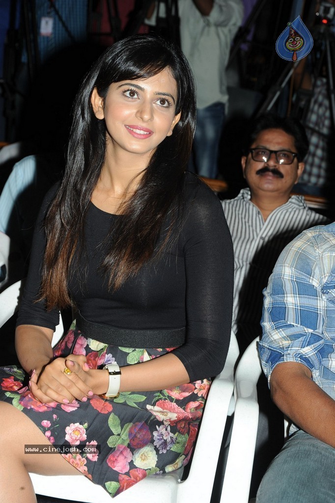 Rakul Preeth Singh at Rough Teaser Launch - 37 / 87 photos