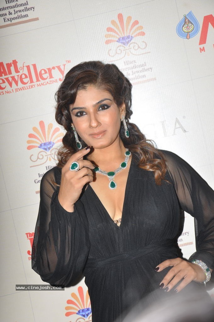 Raveena Tandon Hot Stills - 6 / 63 photos