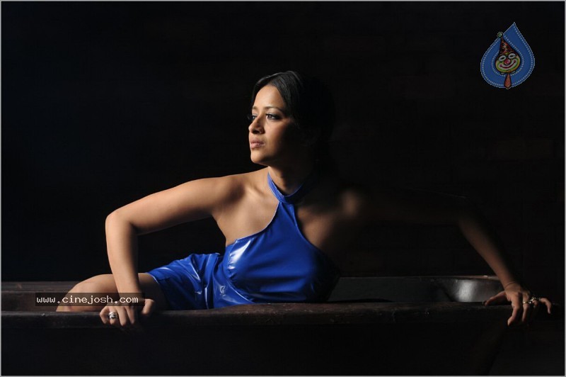 Reema Sen Spicy Stills In Yuganiki Okkadu  - 13 / 35 photos