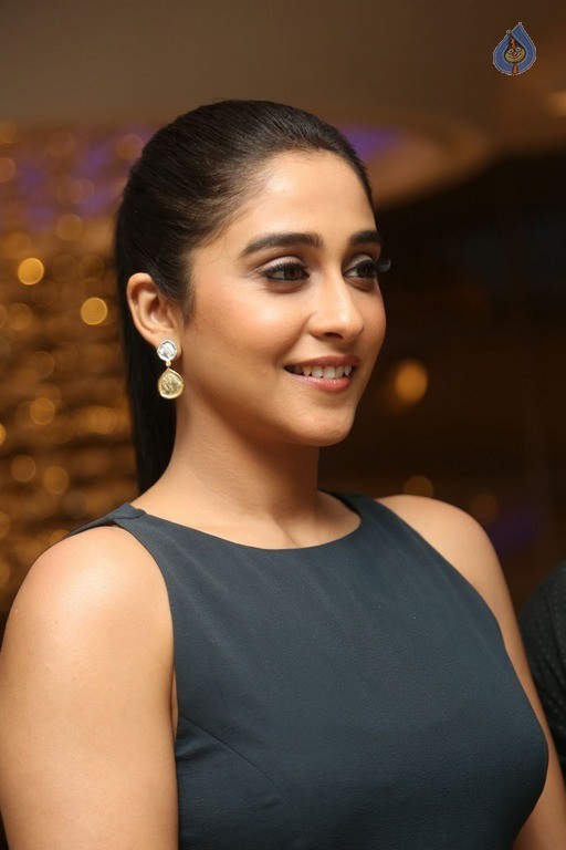 Regina at Nagaram Success Meet - 29 / 54 photos