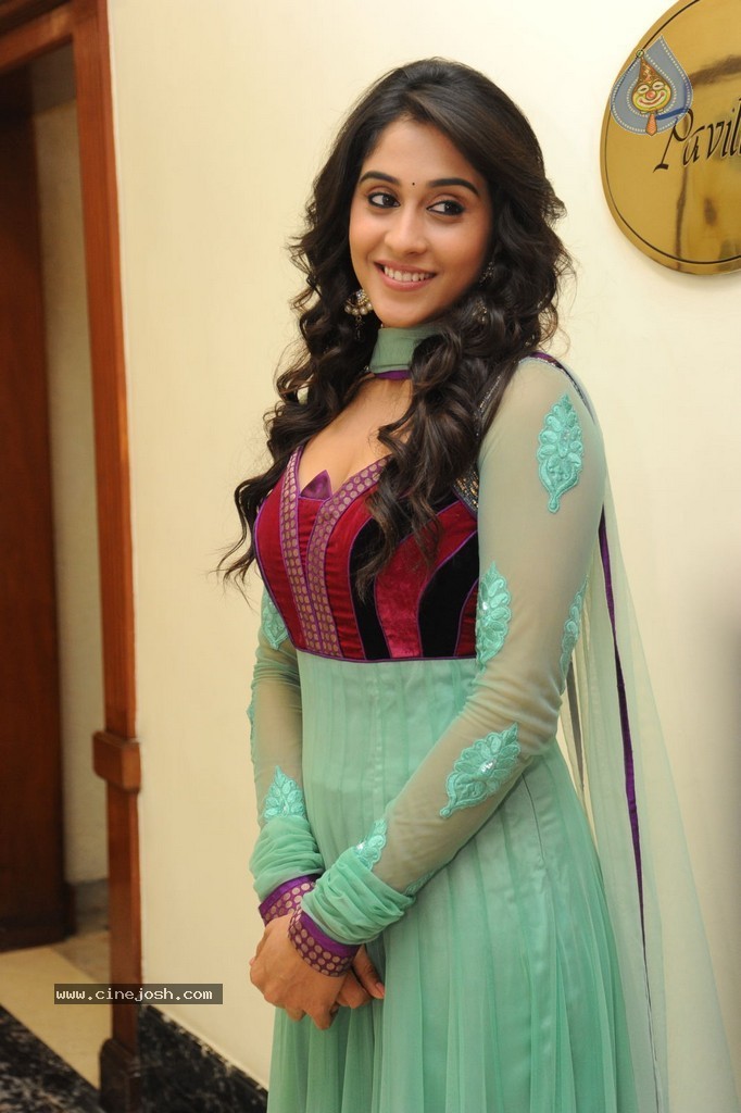 Regina at Sankara Audio Launch - 20 / 121 photos