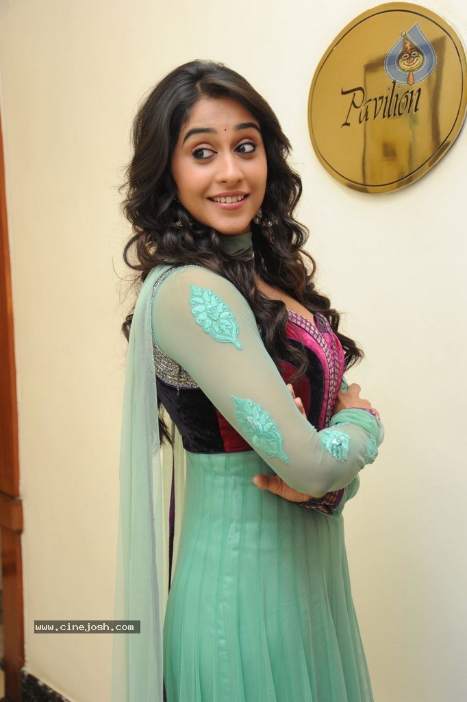 Regina at Sankara Audio Launch - 28 / 121 photos