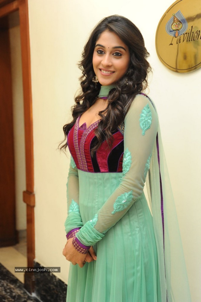 Regina at Sankara Audio Launch - 59 / 121 photos