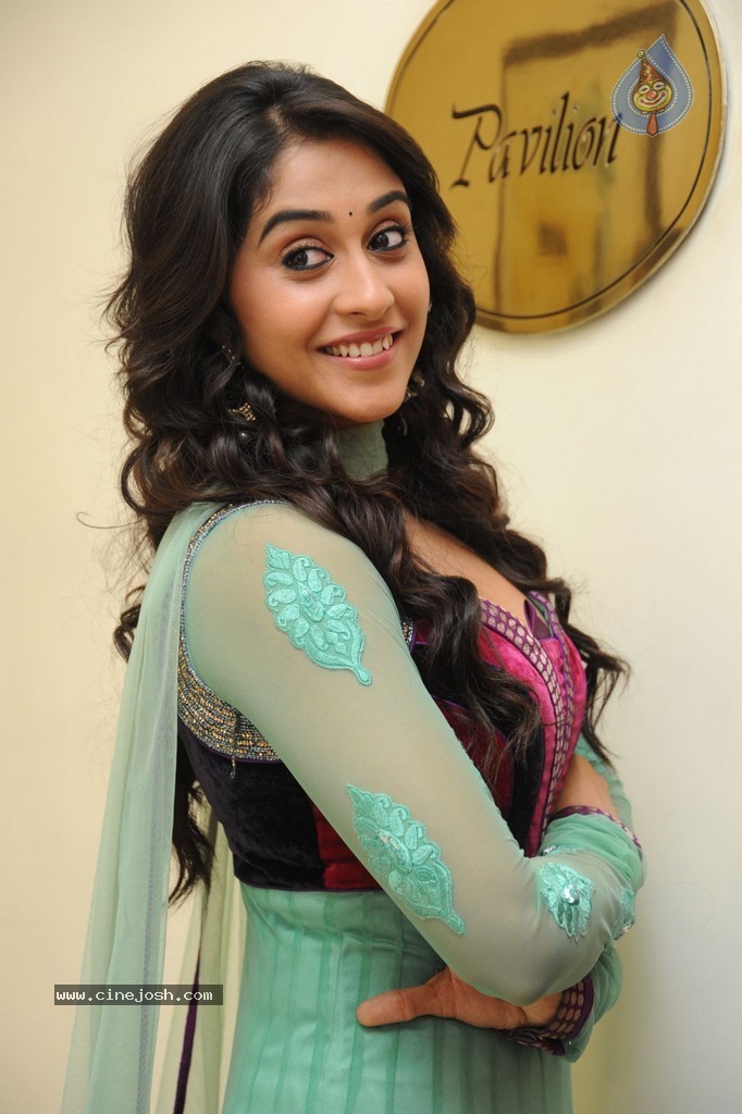 Regina at Sankara Audio Launch - 95 / 121 photos