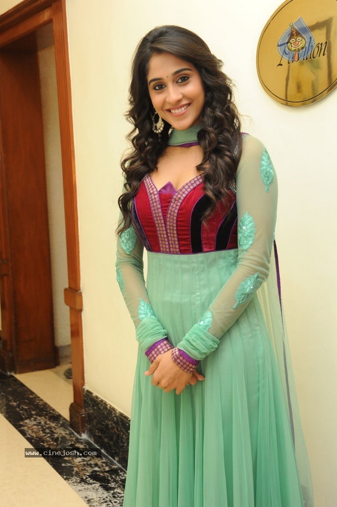 Regina at Sankara Audio Launch - 100 / 121 photos