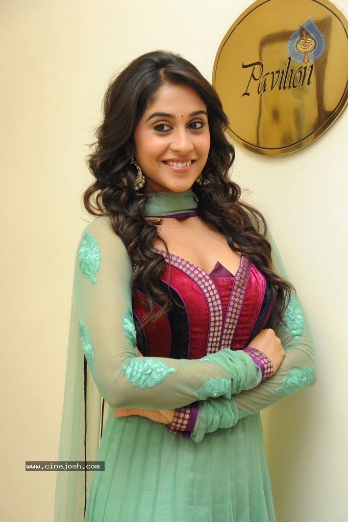 Regina at Sankara Audio Launch - 104 / 121 photos