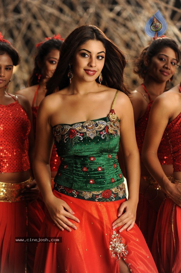 Richa Gangopadhyay Hot Stills - 56 / 77 photos
