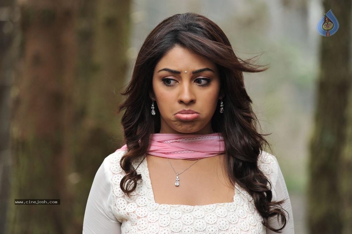 Richa Gangopadhyay Hot Stills - 74 / 77 photos
