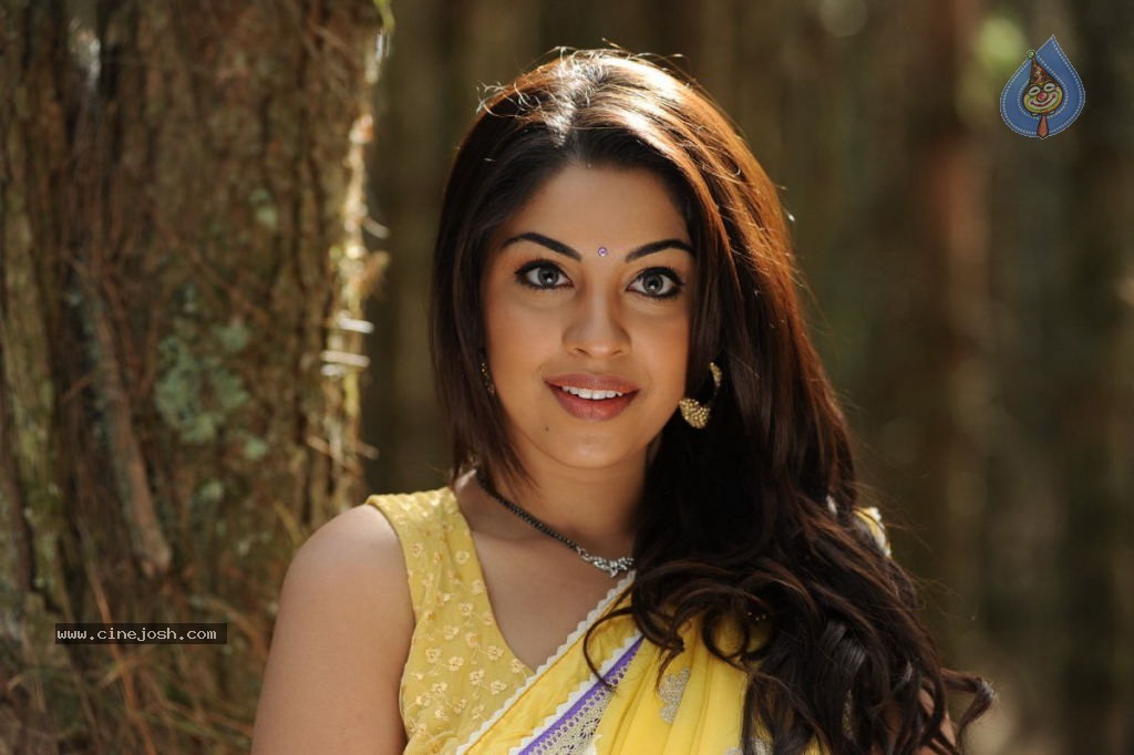 Richa Gangopadhyay New Pics - 12 / 26 photos