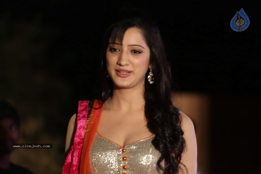 Richa Panai Hot Pics - 50 / 74 photos