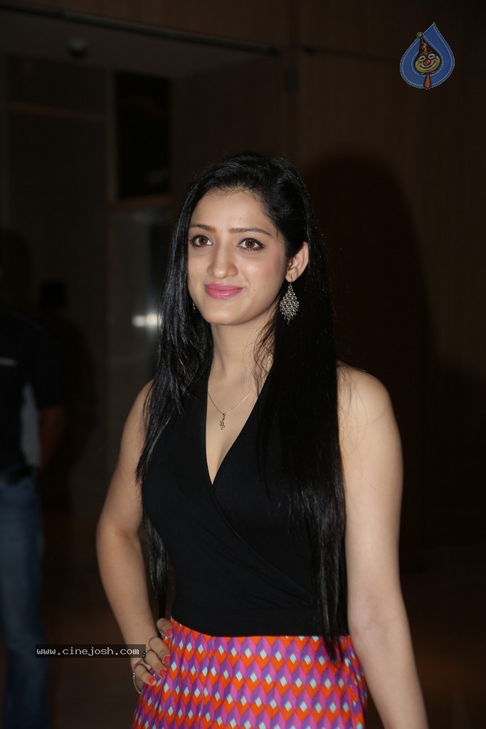 Richa Panai Hot Stills - 7 / 75 photos