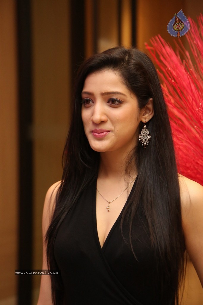 Richa Panai Hot Stills - 64 / 75 photos