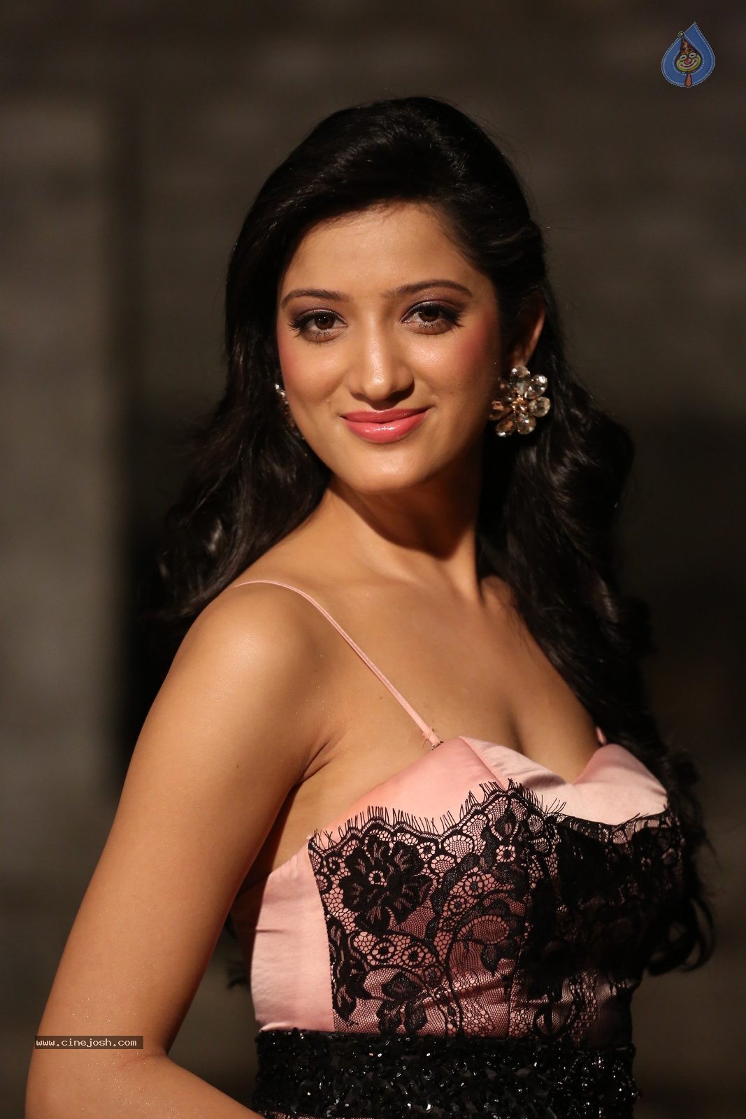 Richa Panai New Photos - 2 / 52 photos