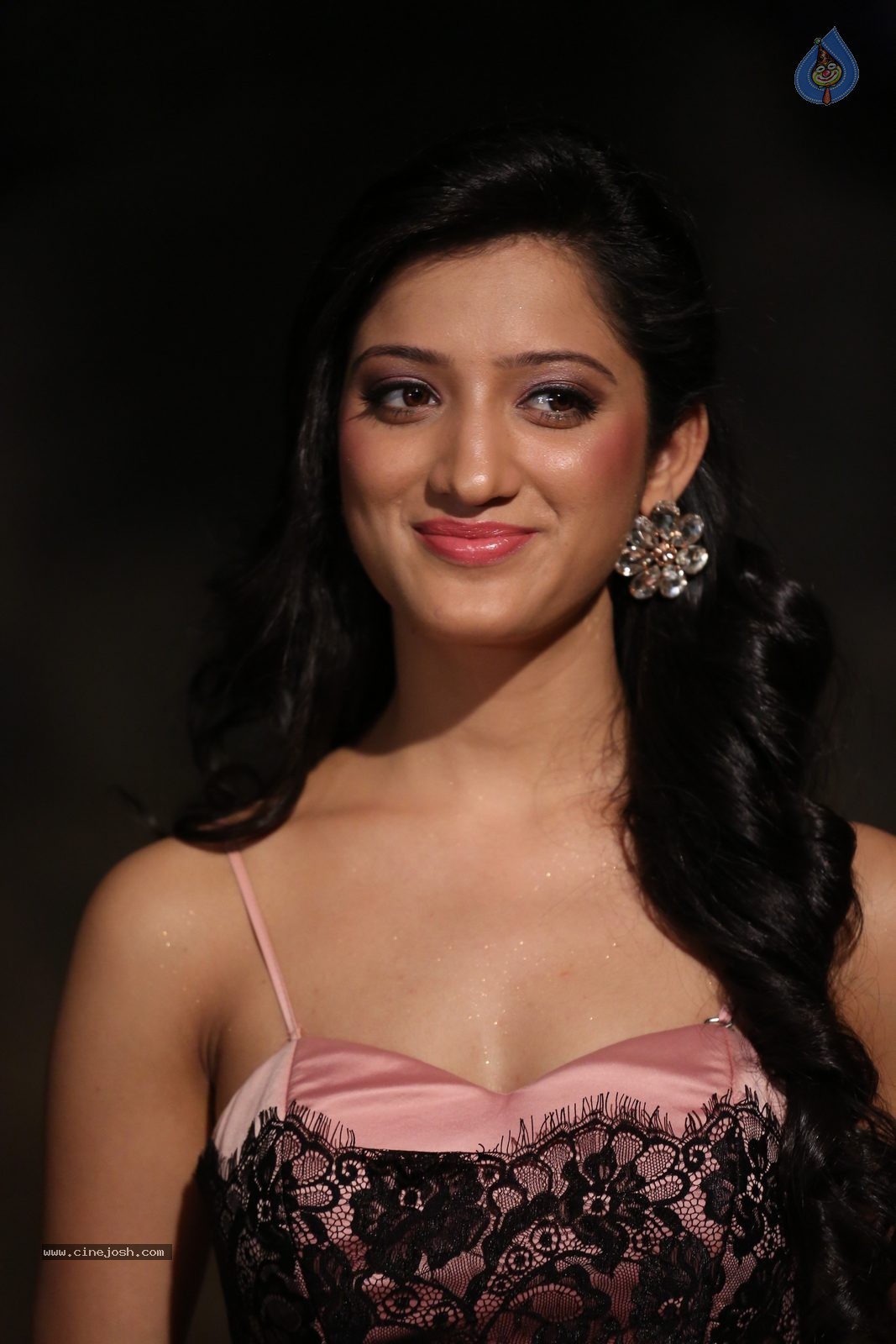 Richa Panai New Photos - 12 / 52 photos