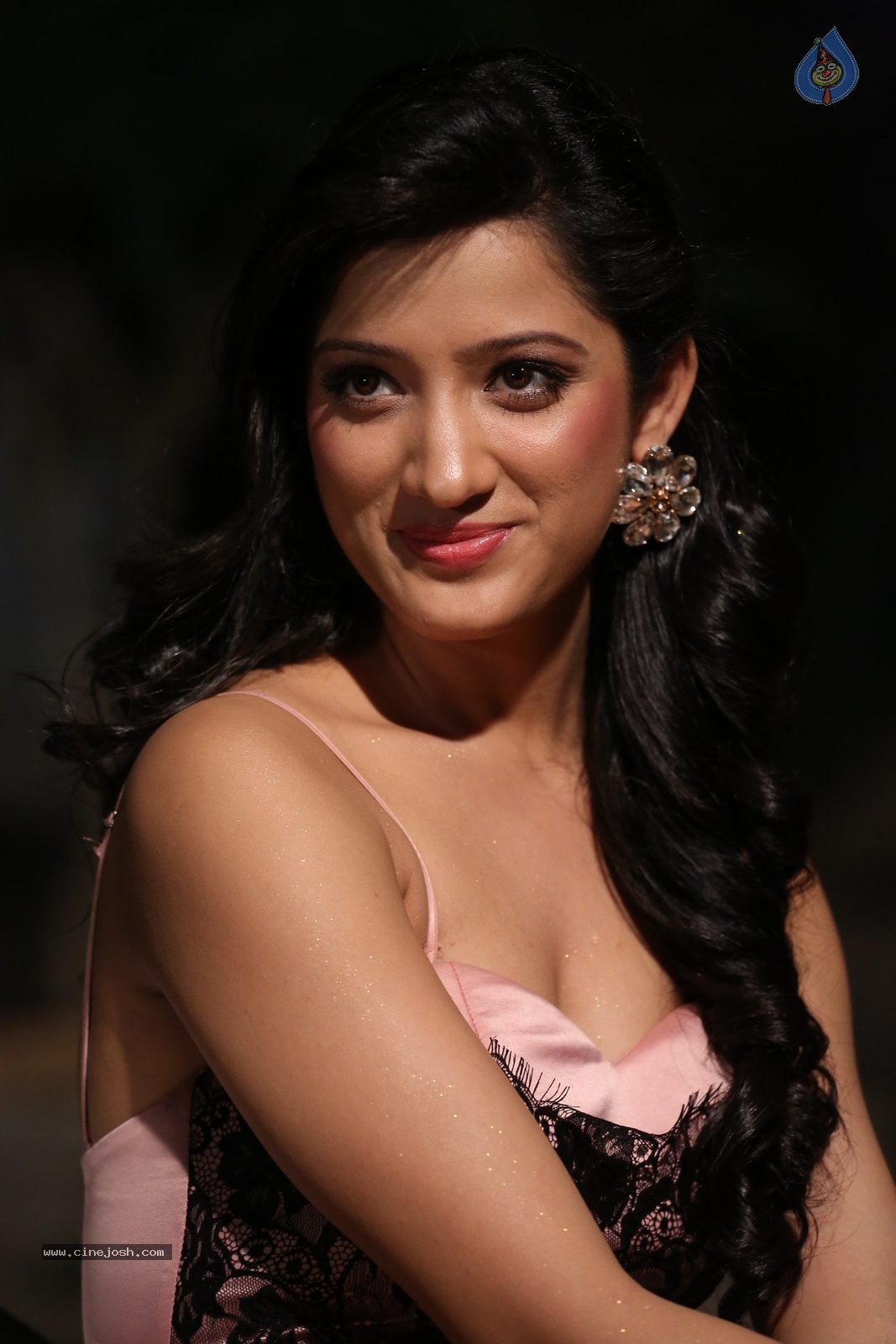Richa Panai New Photos - 13 / 52 photos