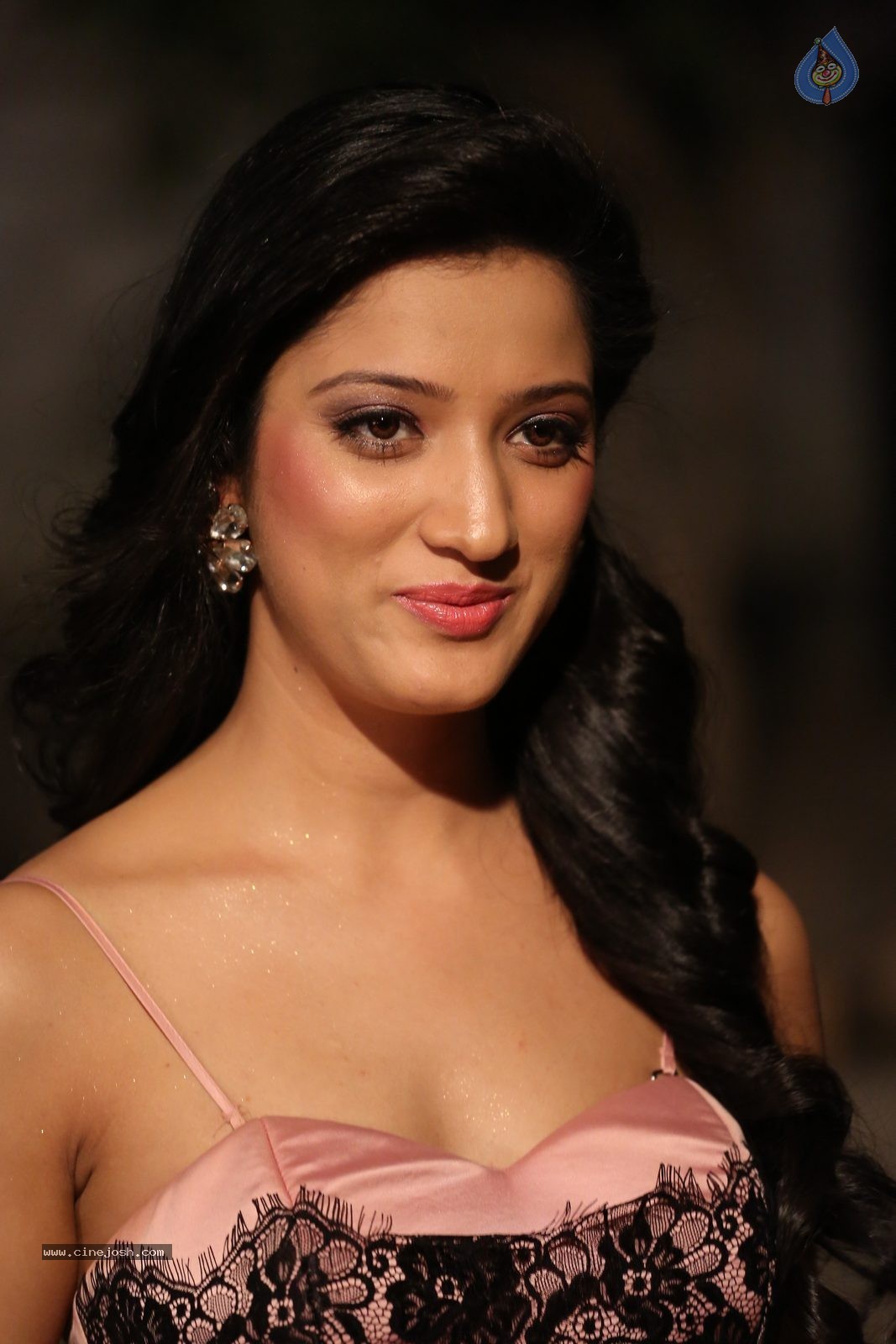 Richa Panai New Photos - 16 / 52 photos